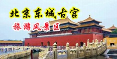 小屄好肏激情视频中国北京-东城古宫旅游风景区