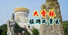 快色污污下载中国浙江-绍兴大香林旅游风景区